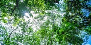 Día de la Pachamama