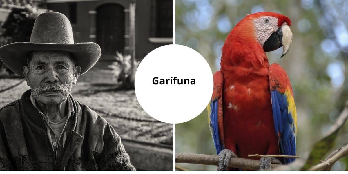 Garífuna tradiciones, cultura, vestimenta y lengua