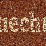 Pueblos indigenas Quechua Ubicación, Vestimenta, Vivienda, Alimentación y Lengua