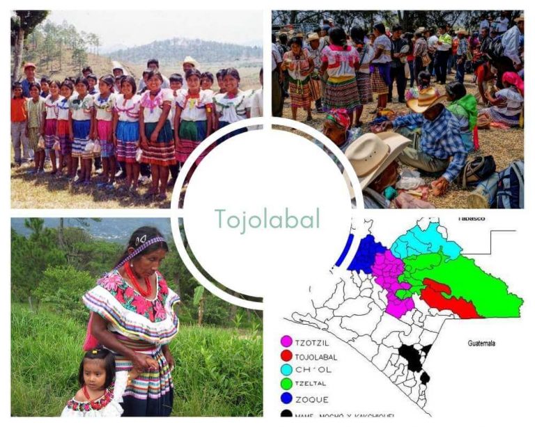 Tojolabales | Vestimenta, lengua, ubicación y gastronomía
