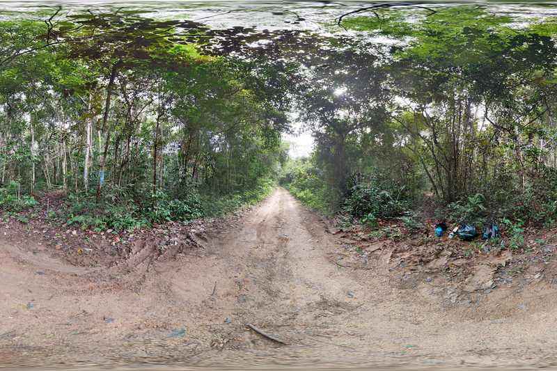 Paisaje aikanã: Floresta Nacional do Jamari en Rondônia — Brasil