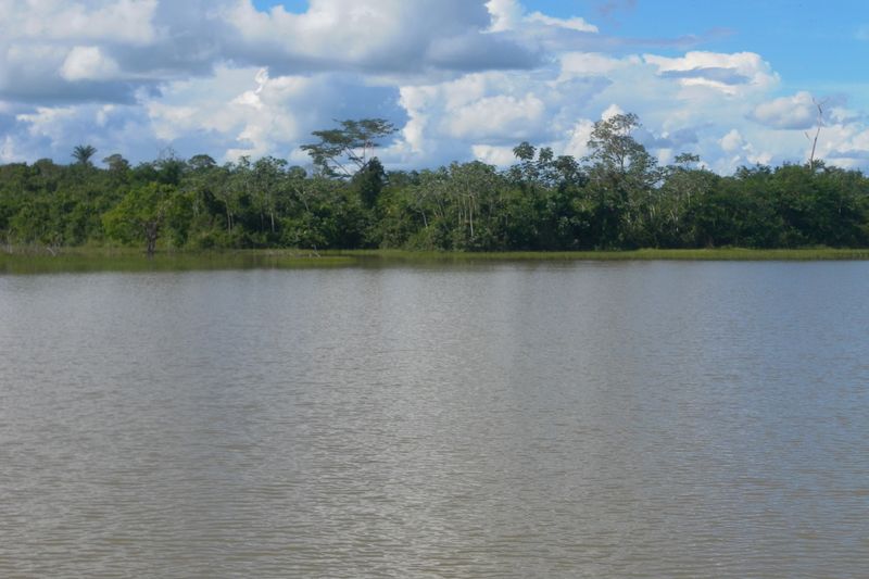 Paisaje akuntsu: floresta amazónica en Rondônia, región cercana a la TI Omerê — Brasil