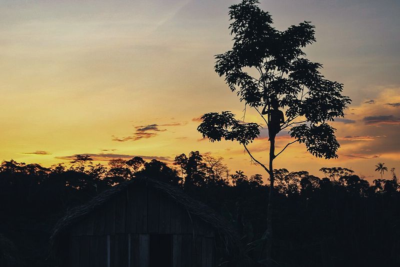 Atardecer en aldeia indígena de Acre, floresta amazónica — territorio de los Apolima-Arara
