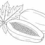 Dibujos araona para colorear: plantas y paisaje amazónico Papaya entera, mitad abierta con semillas y una hoja para colorear