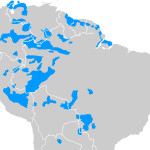 arawak-lokono-historia-fonologia-revitalizacion-y-vocabulario