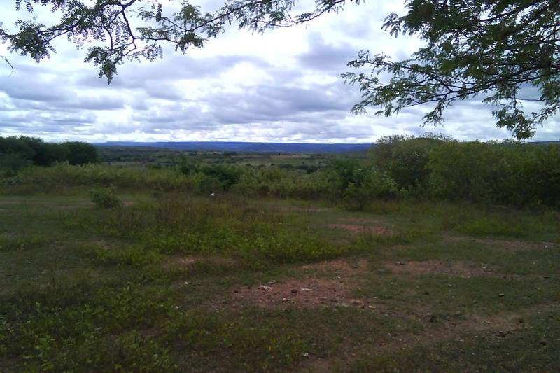Sertão atikum: paisaje de la caatinga pernambucana en Carnaubeira da Penha