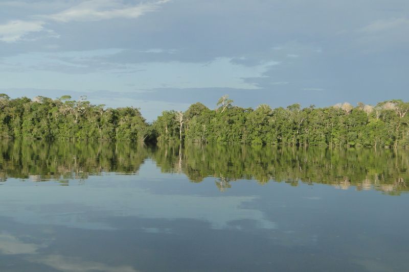 Paisaje baniwa: río Içana en territorio ancestral baniwa-kuripako — Alto Río Negro, Amazonas