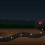 Boiuna, la serpiente negra gigante del río Amazonas y el norte de Brasil Boiuna — La Serpiente Negra Gigante del Amazonas
