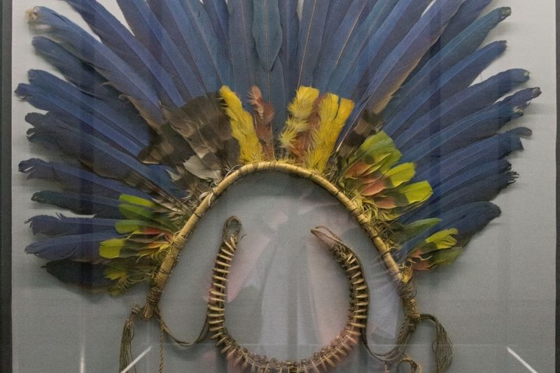 Vestimenta bororo: tocado plumario pariko con plumas de guacamayo — Museu Nacional de Praga