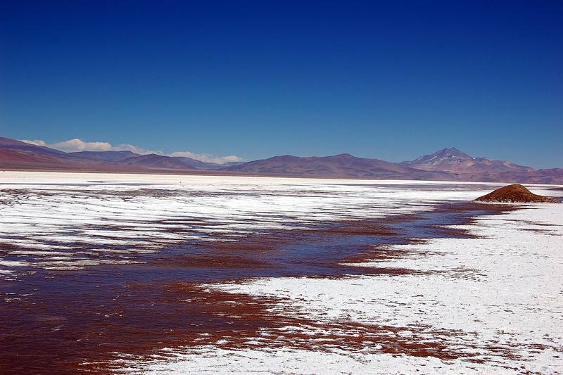 Cordillera de Atacama o pastor Colla con ganado — pueblo Colla de Chile