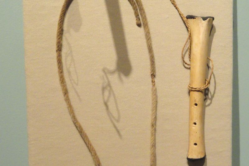 Artesanía desana: silbatos rituales de hueso de jaguar — Peabody Museum, Harvard
