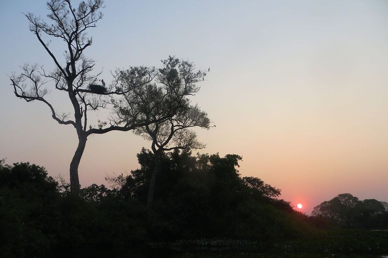 Pantanal de MS o canoa Guató en la Ilha Insua — pueblo de lengua aislada