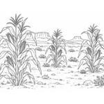 Dibujos hopi para colorear: maíz, cerámica, mesetas y semillas Grupos de plantas de maíz separados sobre suelo arenoso con mesetas al fondo