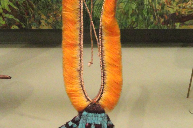 Artesanía ka'apor: collar de plumas del pueblo Ka'apor — American Museum of Natural History