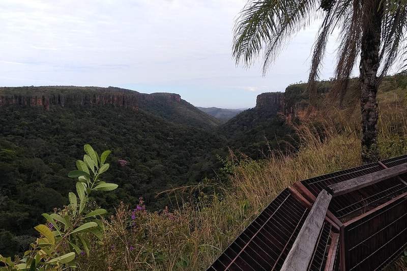 Cerrado MT o comunidad Nambikwara — territorio del pueblo Kabixi en Vale do Guaporé