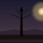 Kakuy: leyenda quichua del ave que llora en el monte santiagueño Kakuy: ave nocturna en silueta sobre árbol con luna llena al fondo — leyenda quichua santiagueña