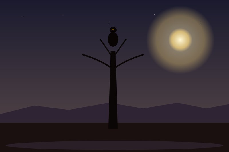 Kakuy: ave nocturna en silueta sobre árbol del monte chaqueño — leyenda quichua santiagueña