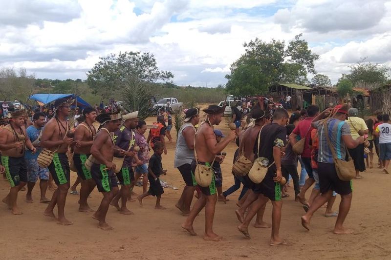 Pueblo kambiwá: comunidad indígena Kambiwá del sertão de Pernambuco