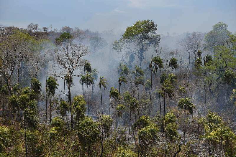 Casa-anel y corrida da tora pan-Timbira — territorio del pueblo Kanela Apãniekrá en MA