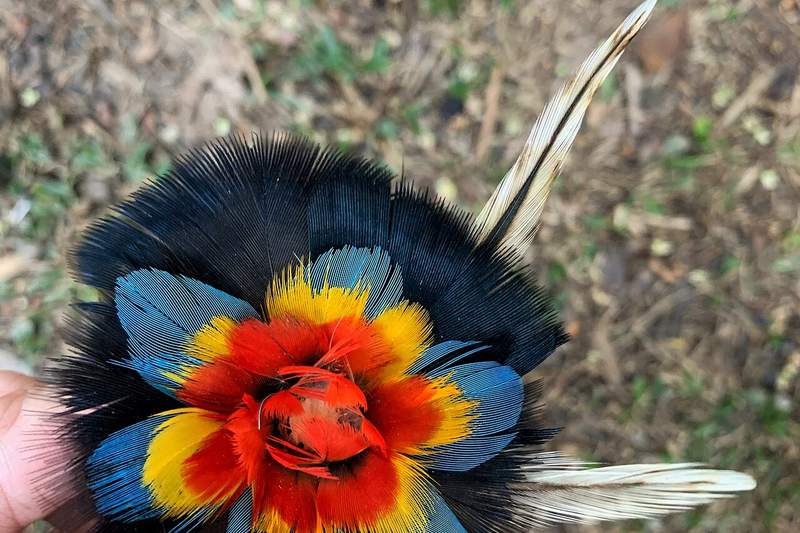 Karitiana: pendiente ceremonial usado en la conmemoración del 19 de abril — Rondônia, Brasil