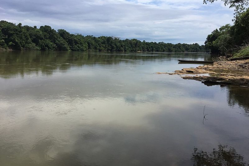 Río Apaporis dentro de la Reserva Yaigojé Apaporis