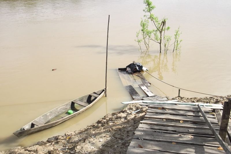 Paisaje matís: río Itaquaí en Vale do Javari (Atalaia do Norte) — Amazonas, Brasil