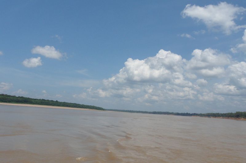 Paisaje mura: várzea del medio Amazonas en Autazes — AM, Brasil