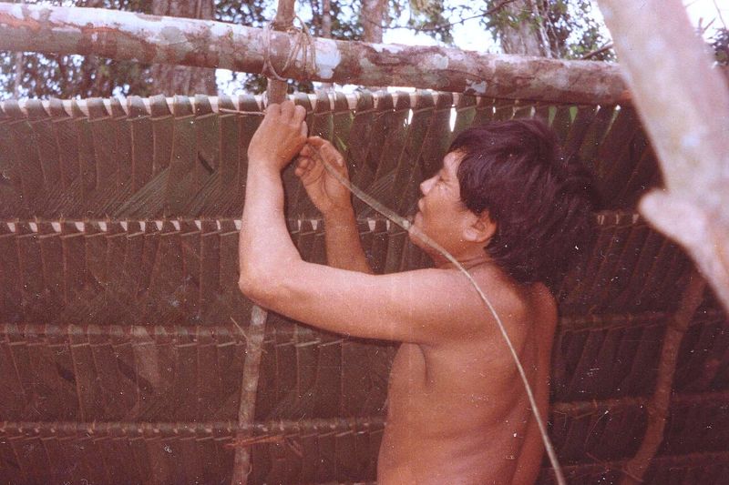 Río Mucajaí o territorio Yanomami norte en Roraima, hábitat del pueblo Ninam