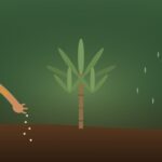 Nunkui, la diosa shuar de la yuca y el huerto amazónico Nunkui — Diosa Shuar de la Yuca y el Huerto