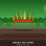 Arara do Acre (Shawãdawa) | Ubicación, Lengua, Vestimenta, Cultura y Alimentación Arara do Acre (Shawãdawa): selva del Acre y cocar de plumas Pano — AC, Brasil