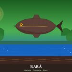 Bará de Brasil | Ubicación, Lengua, Vestimenta, Cultura y Alimentación Bará (Waímaja) de Brasil: pez sagrado y río Tiquié — Amazonas