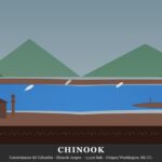 Chinook | Ubicacion, Lengua, Vestimenta, Cultura y Alimentacion Chinook: plank house y salmon saltando en el rio Columbia — Oregon/Washington, EE.UU.