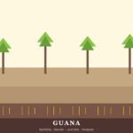 Guana (Kashkiha) | Ubicacion, Lengua, Vestimenta, Cultura y Alimentacion Pueblo guana — Paraguay