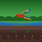 Jaminawa-Arara | Ubicación, Lengua, Vestimenta, Cultura y Alimentación Jaminawa-Arara: cabeceiras del río Acre, sub-grupo Pano del Alto Acre — Acre, Brasil
