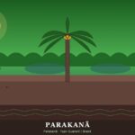 Parakanã | Ubicación, Lengua, Vestimenta, Cultura y Alimentación Parakanã: palmera tucumã y arco en floresta amazónica, Pará, Brasil