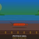 Potiguara | Ubicación, Lengua, Vestimenta, Cultura y Alimentación Potiguara: manglar y camarón (etimología "comedores de camarones") — Paraíba
