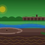 Xikrin do Bacajá | Ubicación, Lengua, Vestimenta, Cultura y Alimentación Xikrin do Bacajá: TI Trincheira-Bacajá, río Bacajá y Volta Grande do Xingu — Pará, Brasil