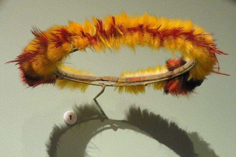 Cocar ceremonial Wai-Wai con plumas de tucán y guacamayo