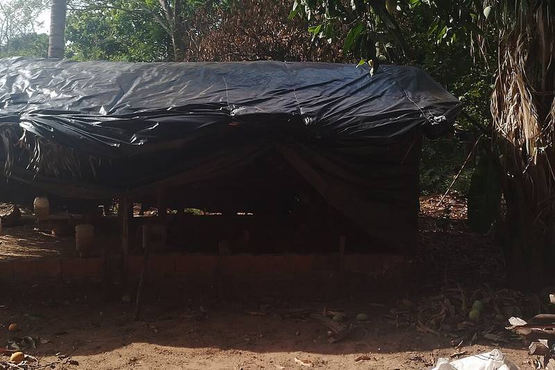 Paisaje tabajara: quintal agroecológico de Itamaraty — Piauí, Brasil