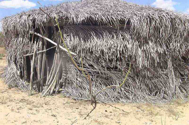 Tumbalalá: comunidad indígena del río São Francisco — Bahia, Brasil