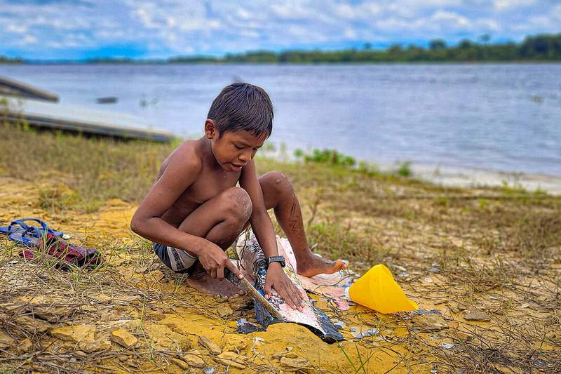 Indígenas del río Guaporé, Rondônia — territorio histórico del Tuparí Tupi
