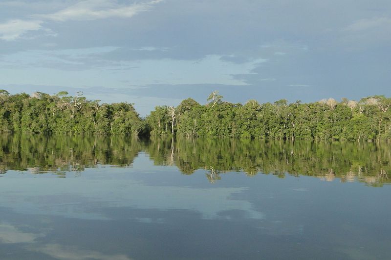 Río Içana espelhado en Alto Rio Negro, AM — territorio Werekena