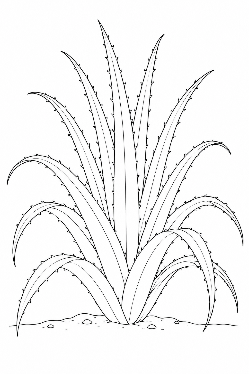 Planta de chaguar de hojas largas y espinosas para colorear