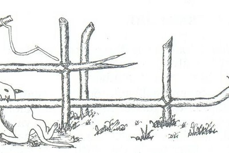 Xetá: trampa tradicional de caza dibujada según original — Paraná, Brasil