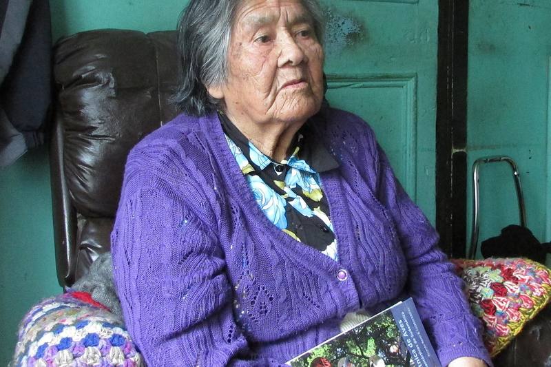 Cristina Calderón o Villa Ukika en Puerto Williams — pueblo Yagán