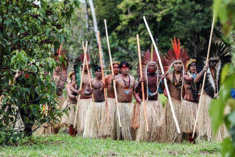 Comunidad Pano del Acre o ritual de ayahuasca — pueblo Yaminawá del Alto Purus
